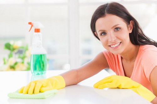 Professional cleaners in NW3 providing home cleaning services