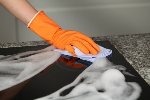Professional cleaners in NW3 introducing their cleaning service for homes and businesses