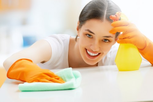 Trained cleaner using approved methods in a property