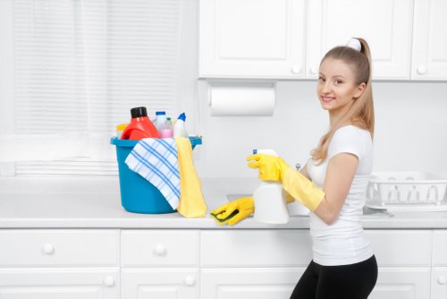 Detailed cleaning service in a bright NW3 property