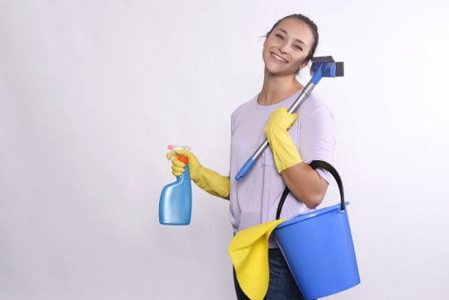 Local domestic cleaner working in an NW3 kitchen and living area