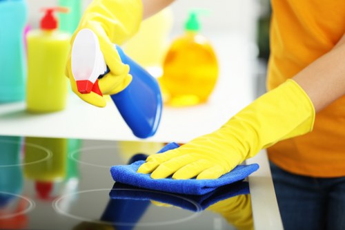 Detailed cleaning service in an NW3 property